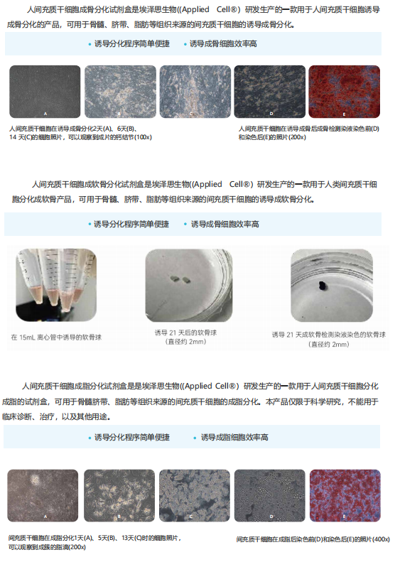 图片25.png