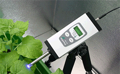 Monitoring Pen植物叶绿素荧光测量仪