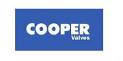 （ 英國）英國COOPER