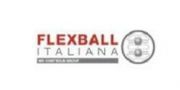 （ 意大利）意大利FLEXBALL