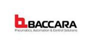 （ 以色列）以色列BACCARA
