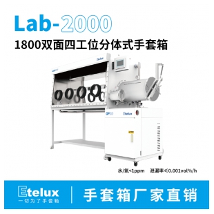 伊特克斯Lab2000 1800雙面四工位手套箱  電子器件 電池制備