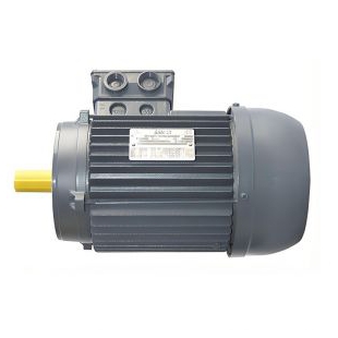 GAMAR三相電機(jī)