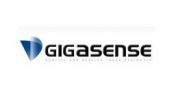 （ 瑞典）瑞典GIGASENSE