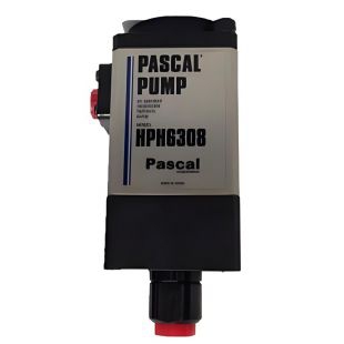 PASCAL接頭