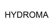 （ 德國）德國BRUENINGHAUS HYDROMA