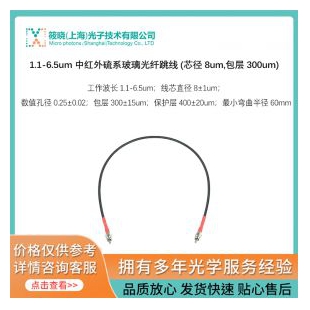 1.1-6.5um 中红外硫系玻璃光纤跳线 (芯径 8um,包层 300um)