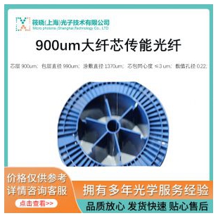 900um大纖芯傳能光纖