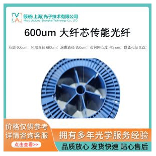 600um 大纤芯传能光纤