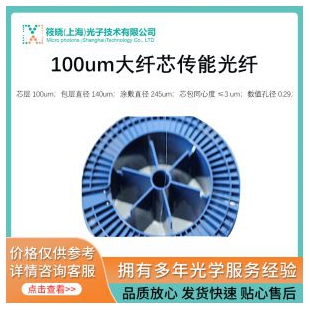 100um大纖芯傳能光纖