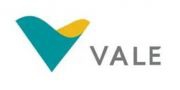 （ 美國）美國VALE