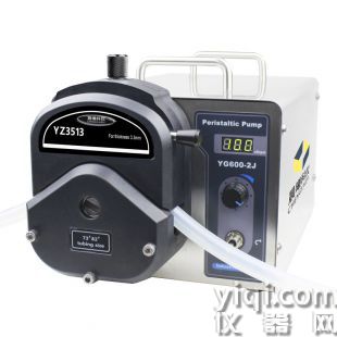 晨曦科仪 工业蠕动泵WT600-2J/KZ25