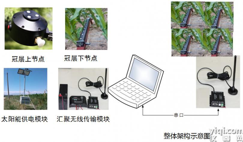 叶面积指数仪