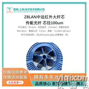 ZBLAN中遠(yuǎn)紅外大纖芯傳能光纖 芯徑100um