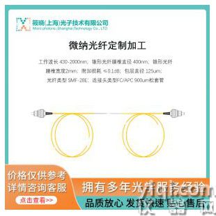 微納光纖定制加工