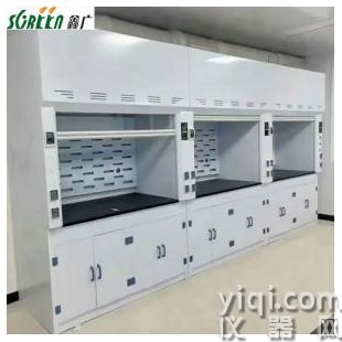 定制通風櫥實驗室PP通風柜化驗室通風設備