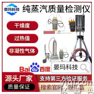 SQTS JCY200纯蒸汽质量检测仪