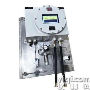 西安潤萊 RL-E500Ex型在線沼氣分析儀