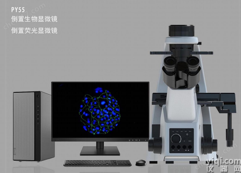PY55倒置熒光生物顯微鏡