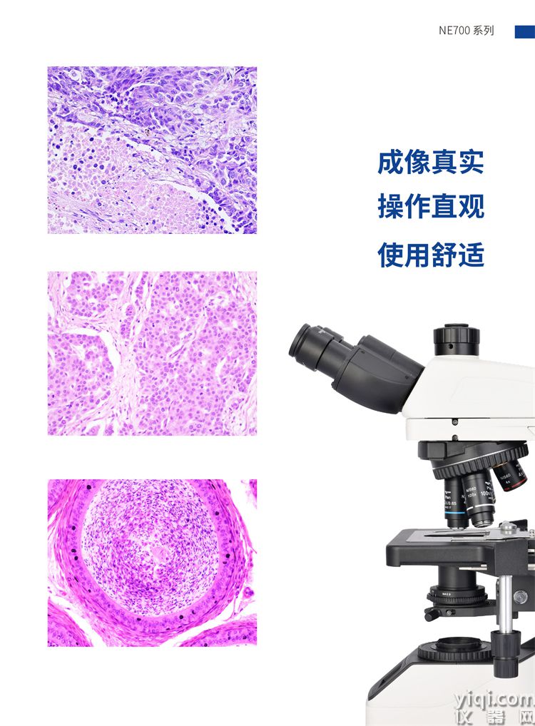 NE700 20210617-2.jpg