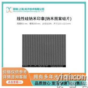 線性硅納米印章(納米圖案硅片)