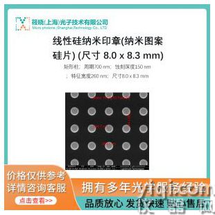 線性硅納米印章(納米圖案硅片) (尺寸 8.0 x 8.3 mm)