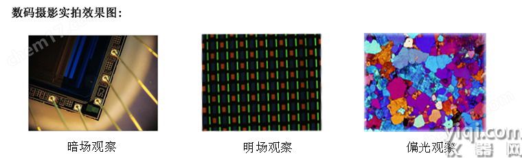 XTL-302明場(chǎng)正置金相顯微鏡