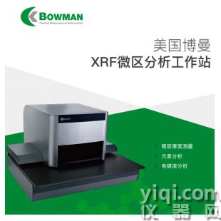 Bowman Brocher XRF微區分析工作站