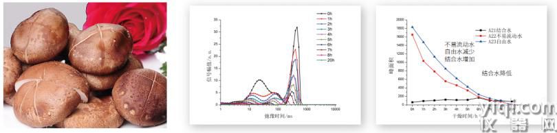 NMI20在食品水分分布分析的选购指南