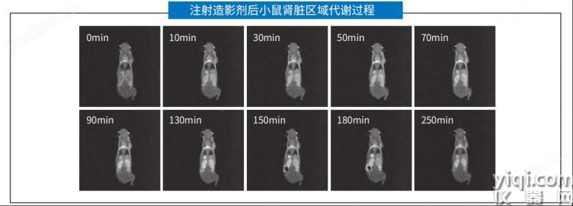 国产永磁体小动物活体成像系统选型指南