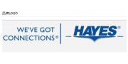 （ 美国）HAYES