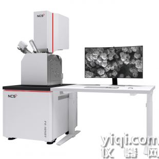 鋼研納克高分辨場發(fā)射掃描電鏡SEM FE-1050T