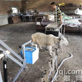 北京朗安影像獸用小型便攜式X光機DR數字影像系統