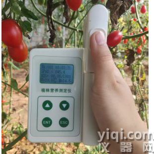 葉綠素檢測(cè)儀 植株?duì)I養(yǎng)測(cè)定儀 