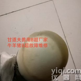 獸用B超探頭維修價(jià)格豬羊B超機(jī)探頭漏油報(bào)價(jià)