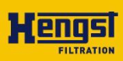 （ 德国）Hengst