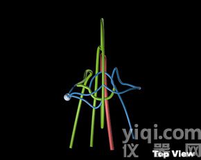 WEK-BV腦血管模體,Brain Vessels模體定制,腦腫瘤血管模體