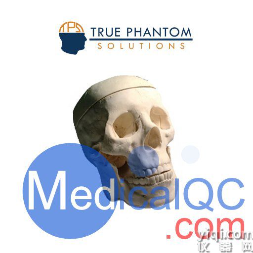 WEK-Head成人頭骨模體定制,WEK-Head成人頭骨模體