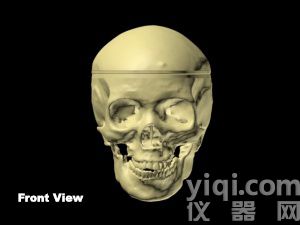 WEK-Head成人頭骨模體定制,WEK-Head成人頭骨模體