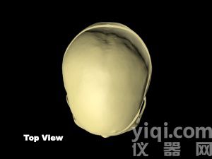 WEK-Head成人頭骨模體定制,WEK-Head成人頭骨模體