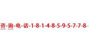 （ 丹麥）丹麥DFS