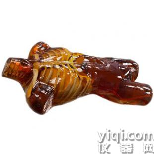 US-A02成人軀干模體，US-A02可用于超聲，CT,X射線成像