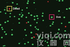 圖片.png