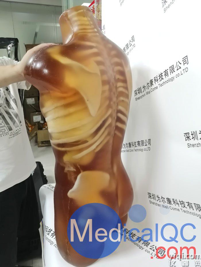 US-A02成人軀干模體，US-A02可用于超聲，CT,X射線成像