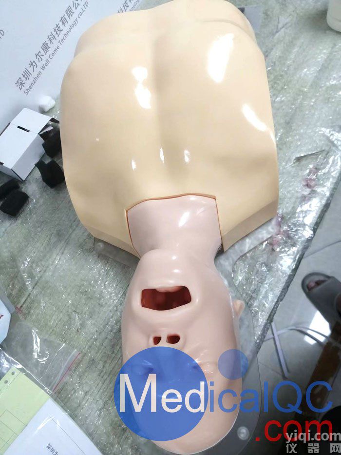 WEK-B05內(nèi)窺鏡支氣管模體，WEK-B05支氣管模型