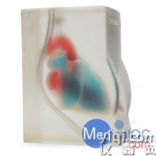 CAE Blue Phantom心臟回聲超聲訓(xùn)練模體,BPH700心臟超聲訓(xùn)練模體