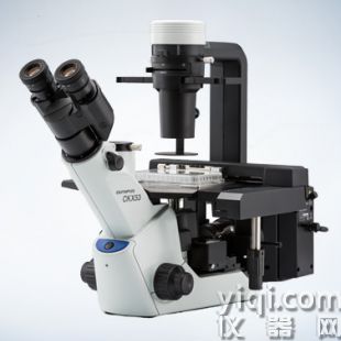 OLYMPUS倒置荧光显微镜CKX53SF