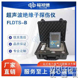 FLDTS-B超声波绝缘子探伤仪