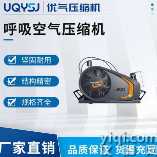 BAUER德国宝华呼吸空气压缩机 PE-TB/PE-TE空气呼吸器充气泵