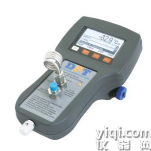 美国PHYMETRIX DPT-500型手持式露点仪